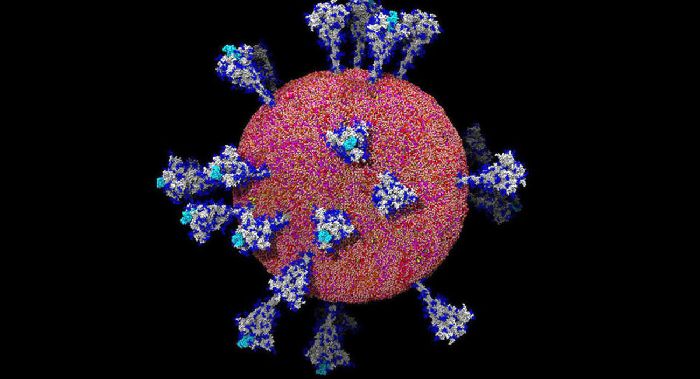 Coronavirus.